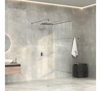 Душевая перегородка WasserKRAFT Vechte 60W46