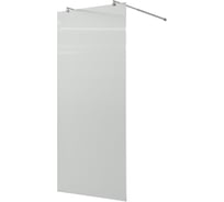 Душевая перегородка WasserKRAFT Vechte 60W44-FL