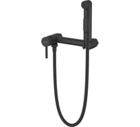 Смеситель с гигиеническим душем на эксцентриках Milardo черный матовый, Tidy, TIDBL15M08