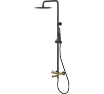 Душевая система ALLEN BRAU 5.31A10-31GB PRIORITY излив повор,верх.душSlim корпус-зол.,элементы-черн (367802) 00367802