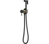 Смеситель ALLEN BRAU 5.31A29-GB31 PRIORITY 3.0 с гиг.душем корпус-зол.,элементы-черн. (367795) 00367795