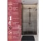 Душевая дверь Cezares LUX-B-FS-11-130-C-GM 7