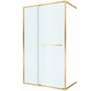 Душевая дверь Cezares LUX-B-FS-11-120-C-BORO