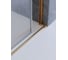 Душевая дверь Cezares PLANE-BF-1-160-C-BORO 4