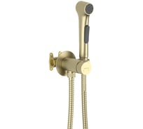 Комплект для гигиенического душа встроенный AQUATEK AQ1020BG ЕВРОПА (Смеситель + гигиеническая лейка + шланг), шлиф. золото 00000145296