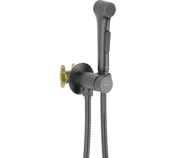 Комплект для гигиенического душа встроенный AQUATEK AQ1020BGM ЕВРОПА (Смеситель + гигиеническая лейка + шланг), оружейная сталь 00000145297