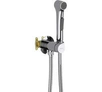 Комплект для гигиенического душа встроенный AQUATEK AQ1020CR ЕВРОПА (Смеситель + гигиеническая лейка + шланг) 00000145294