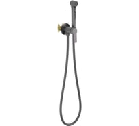 Комплект для гигиенического душа встроенный AQUATEK AQ1719BGM ЛУГАНО (смеситель + гигиеническая лейка + шланг), оружейная сталь 00000145292