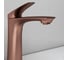 Смеситель для раковины Abelsberg Perfecta, песчаная медь INF60101BC 2