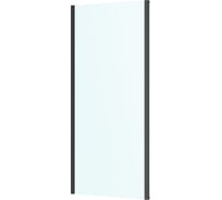 Боковая панель Roca Leon 700x1950мм, черный профиль, стекло прозрачное ZRU9307674