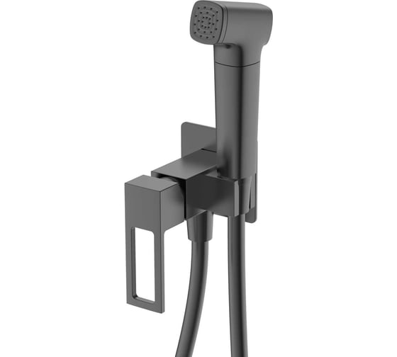 Смеситель с гигиеническим душем DQ Dortmund встраиваемый графит DA1714506