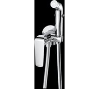 Смеситель с гигиеническим душем DQ Dusseldor встраиваемый хром DA1724501