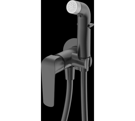 Смеситель с гигиеническим душем DQ Dusseldor встраиваемый графит DA1724506