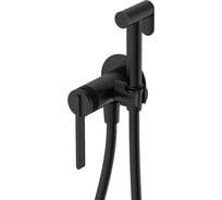 Смеситель с гигиеническим душем DQ Bonn DA1704505 встраиваемый черный DA1704505