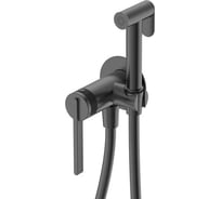 Смеситель с гигиеническим душем DQ Bonn DA1704506 встраиваемый графит DA1704506