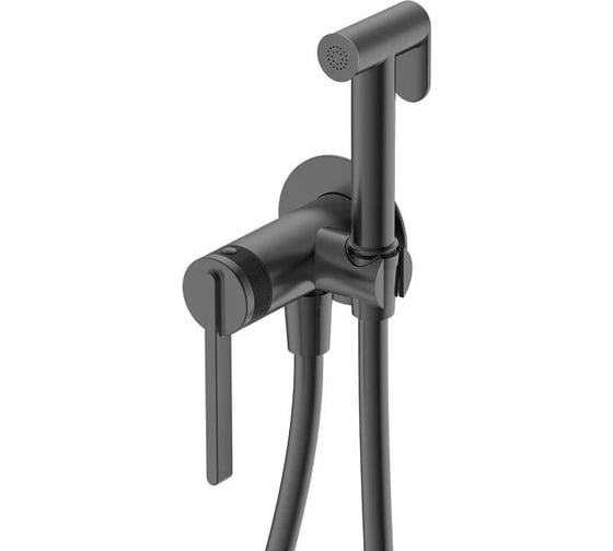 Смеситель с гигиеническим душем DQ Bonn DA1704506 встраиваемый графит DA1704506