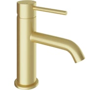 Смеситель для раковины AQUEDUTO CANO M шлифованное золото CAN0250