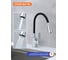 Смеситель для кухни Prohanss с гибким изливом P61.4406 5