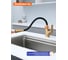Смеситель для кухни с гибким изливом Prohanss P61.4406.03 4