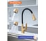 Смеситель для кухни с гибким изливом Prohanss P61.4406.03 5