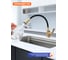 Смеситель для кухни с гибким изливом Prohanss P61.4406.03 6