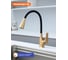 Смеситель для кухни с гибким изливом Prohanss P61.4406.03 9