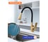 Смеситель для кухни с гибким изливом Prohanss P61.4406.03 10