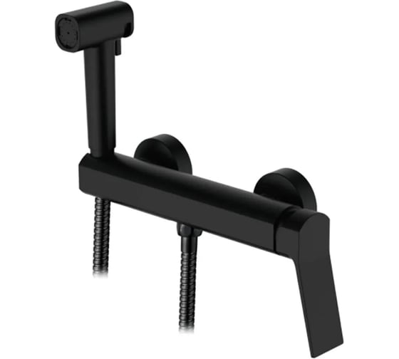 Смеситель с гигиеническим душем Ledeme L5285B