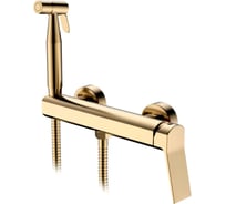 Смеситель с гигиеническим душем Ledeme L5285Y