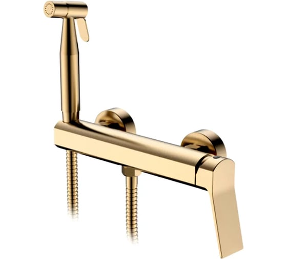 Смеситель с гигиеническим душем Ledeme L5285Y