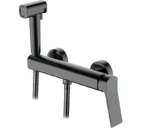 Смеситель с гигиеническим душем Ledeme L5285D