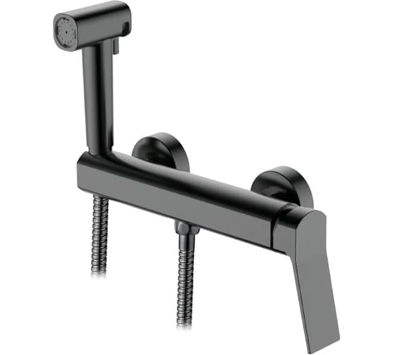 Смеситель с гигиеническим душем Ledeme L5285D