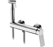Смеситель с гигиеническим душем Ledeme L5285SA