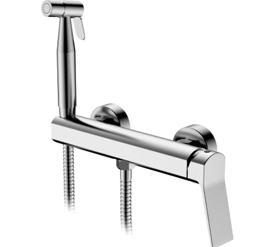 Смеситель с гигиеническим душем Ledeme L5285SA