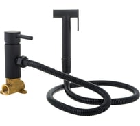 Смеситель для биде OUTE из латуни, черный матовый TH345H