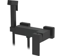 Смеситель с гигиеническим душем Ledeme L75225B