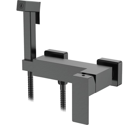 Смеситель с гигиеническим душем Ledeme L75225D