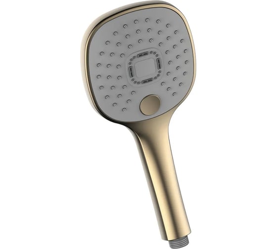 Душевая лейка Ledeme LD004Y