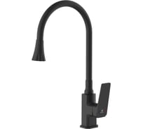 Смеситель для кухни DIADONNA с гибким изливом D165-41BL