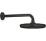 Верхний душ Grohe Tempesta 210 с душевым кронштейном 286 мм, матовый чёрный 1022182430 1