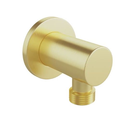 Шланговое подключение AQUEDUTO ACENO шлифованное золото ACE1150