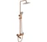 Душевая стойка Fmark FS8745-22HB 1
