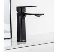 Смеситель для раковины FRAP черный F10504-6