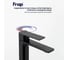 Смеситель для раковины FRAP черный F10504-6 2