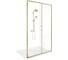 Душевое ограждение GooD DooR LITE WTW-120-C-BG ЛТ00043 2