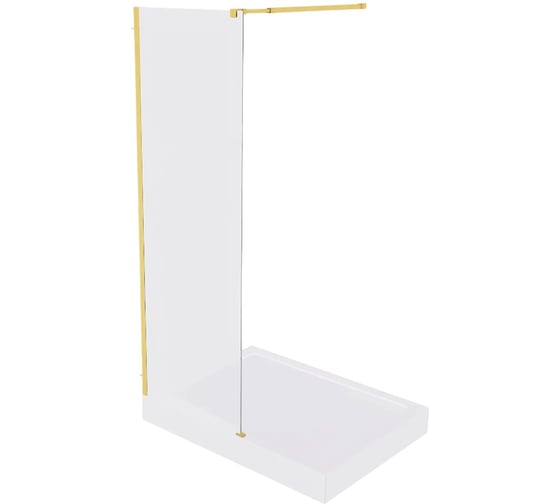 Душевое ограждение GooD DooR WALK IN SP-100-C-BG ВИ00044