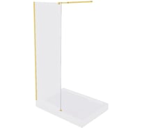 Душевое ограждение GooD DooR WALK IN SP-110-C-BG ВИ00045