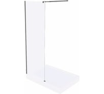 Душевое ограждение GooD DooR WALK IN SP-120-C-GM ВИ00039