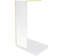 Душевое ограждение GooD DooR WALK IN SP-100-W-BG ВИ00030