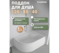 Поддон акриловый EvaGold 120х80х40 правый полукруглый, с сифоном EG230019